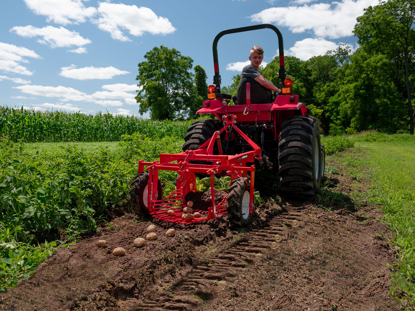 MK Martin 3-Point Potato Digger in Use